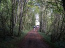 La longue marche