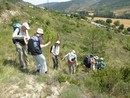 Un chemin parfois difficile